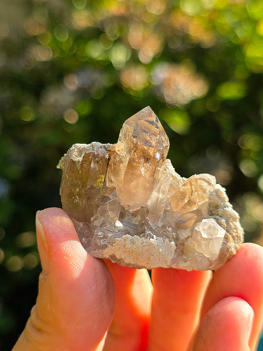 Quartz fumé des Pyrénées n°23