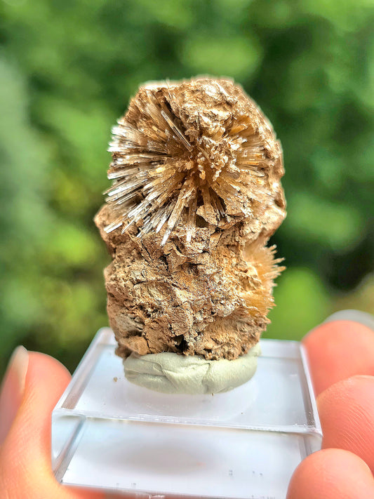 Aragonite corollaire française n°3