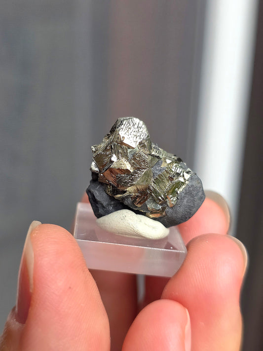 Pyrite sur Schiste n°5
