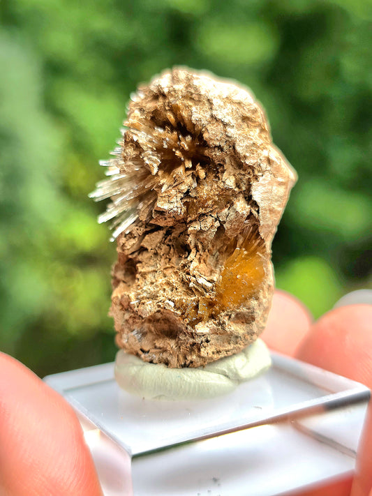 Aragonite corollaire française n°3