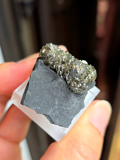 Pyrite sur Schiste n°11