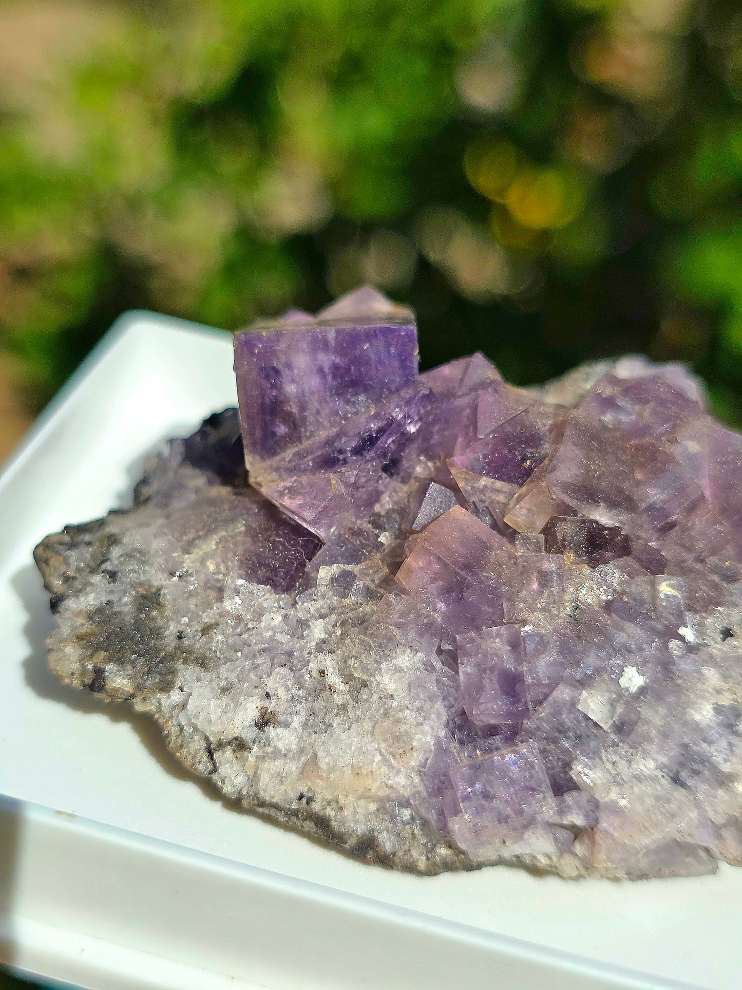 Fluorite violette brute d'Angleterre