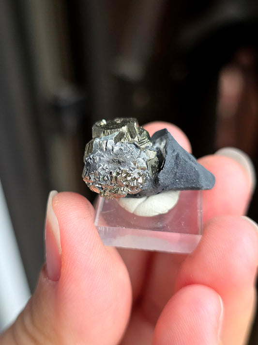 Pyrite sur Schiste n°7