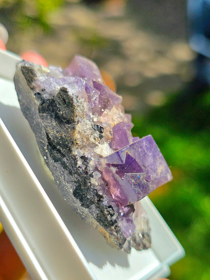 Fluorite violette brute d'Angleterre