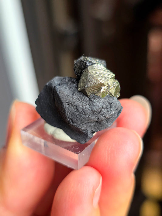Pyrite sur Schiste n°10