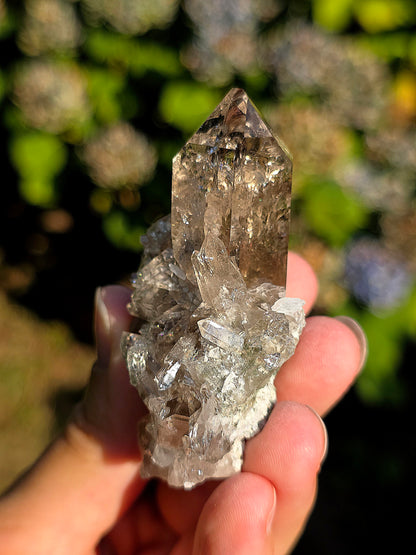 Superbe Quartz fumé des Pyrénées n°31