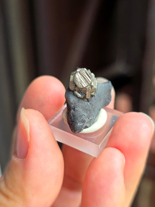 Pyrite sur Schiste n°8