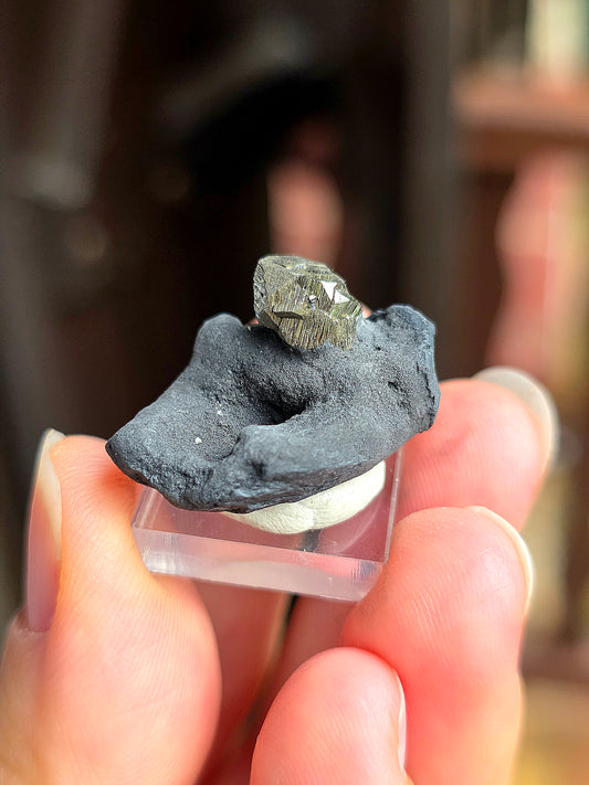 Pyrite sur Schiste n°9