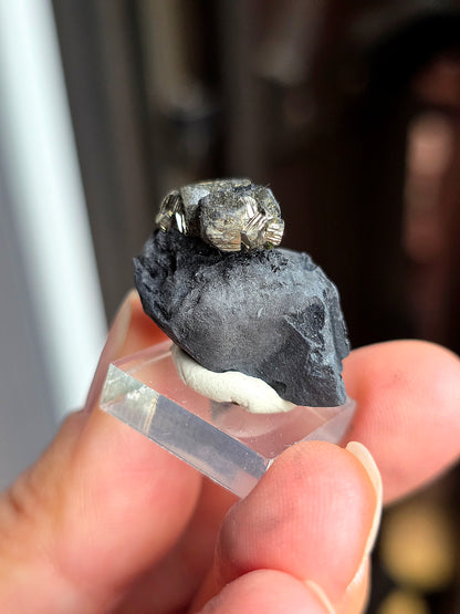 Pyrite sur Schiste n°10