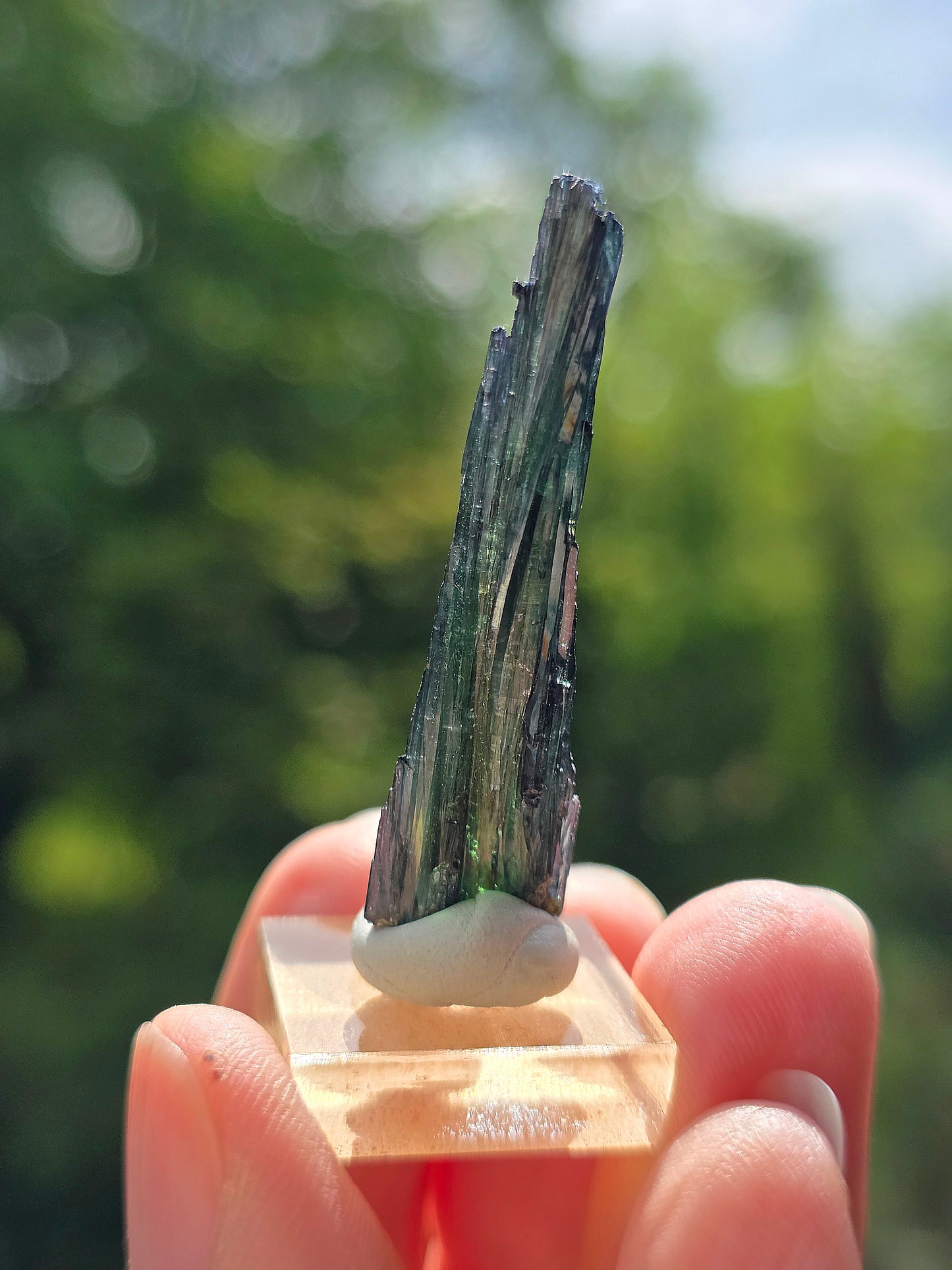 Jolie petite Vivianite du Pérou