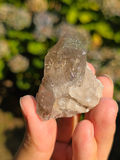 Quartz fumé des Pyrénées n°30