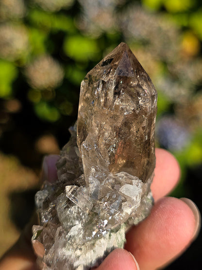 Superbe Quartz fumé des Pyrénées n°31