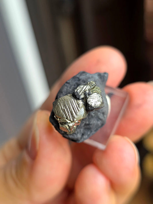 Pyrite sur Schiste n°10