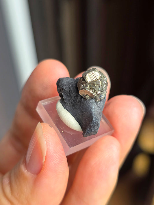 Pyrite sur Schiste n°8