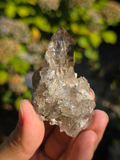 Superbe Quartz fumé des Pyrénées n°31