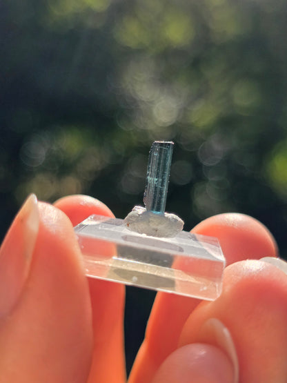 Tourmaline bleue du Brésil (à choisir)