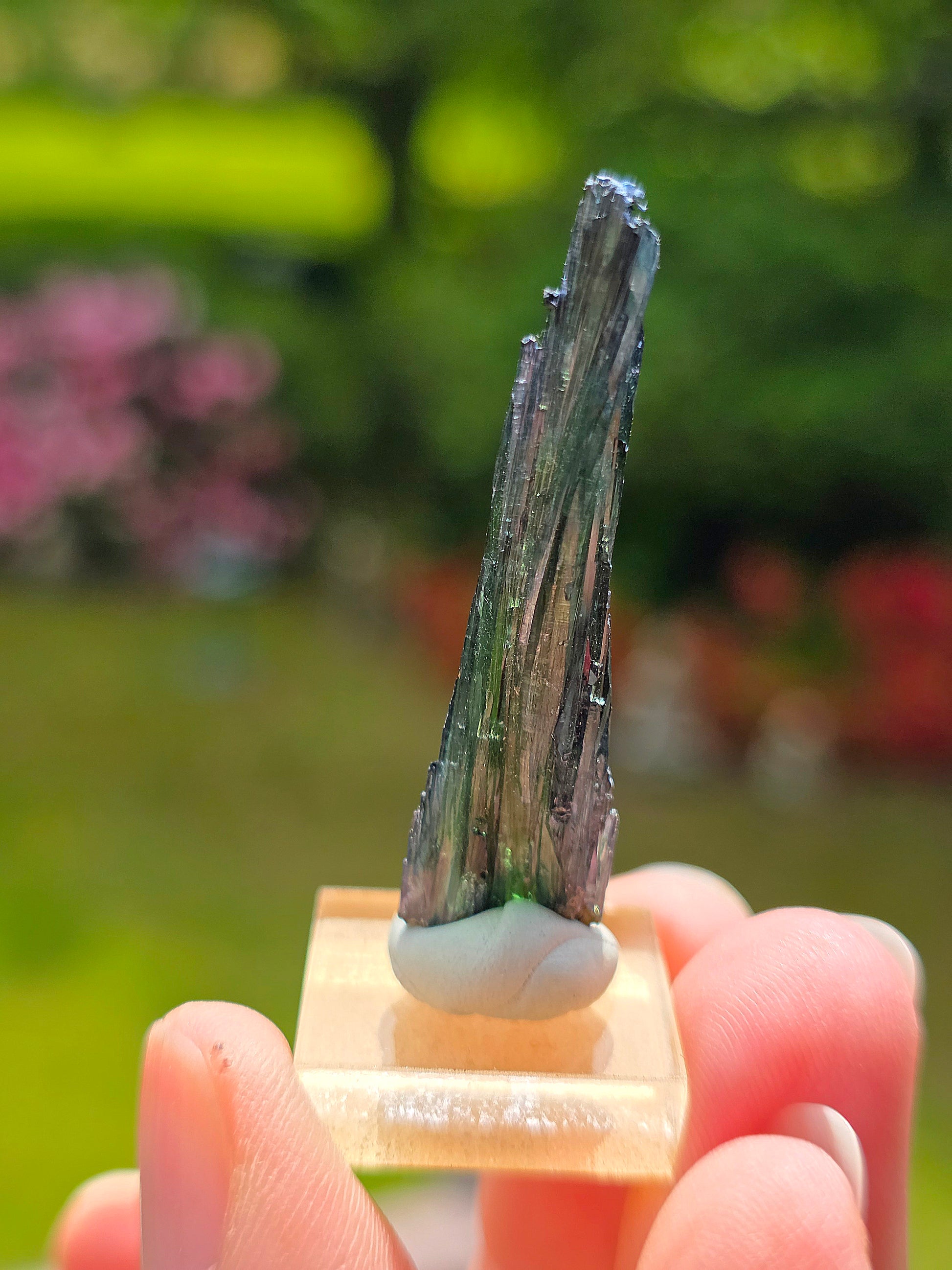 Jolie petite Vivianite du Pérou