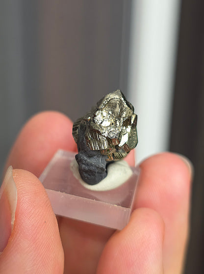 Pyrite sur Schiste n°5