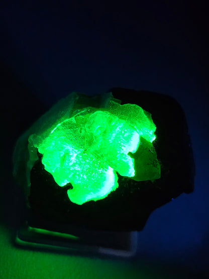 Opale Hyalite sur Tourmaline noire d'Erongo A