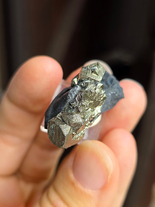 Pyrite sur Schiste n°2