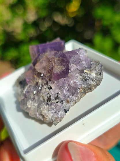 Fluorite violette brute d'Angleterre