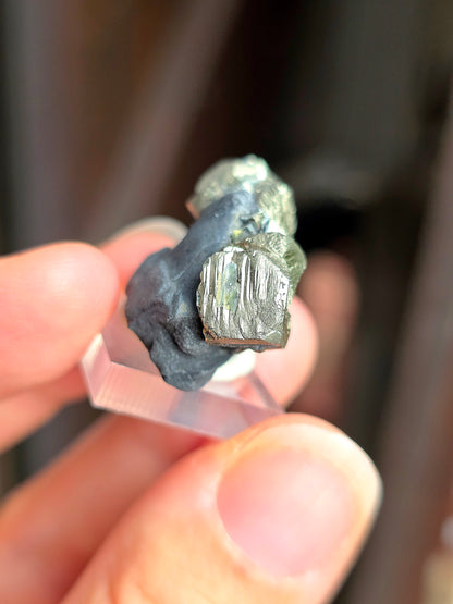 Pyrite sur Schiste n°2