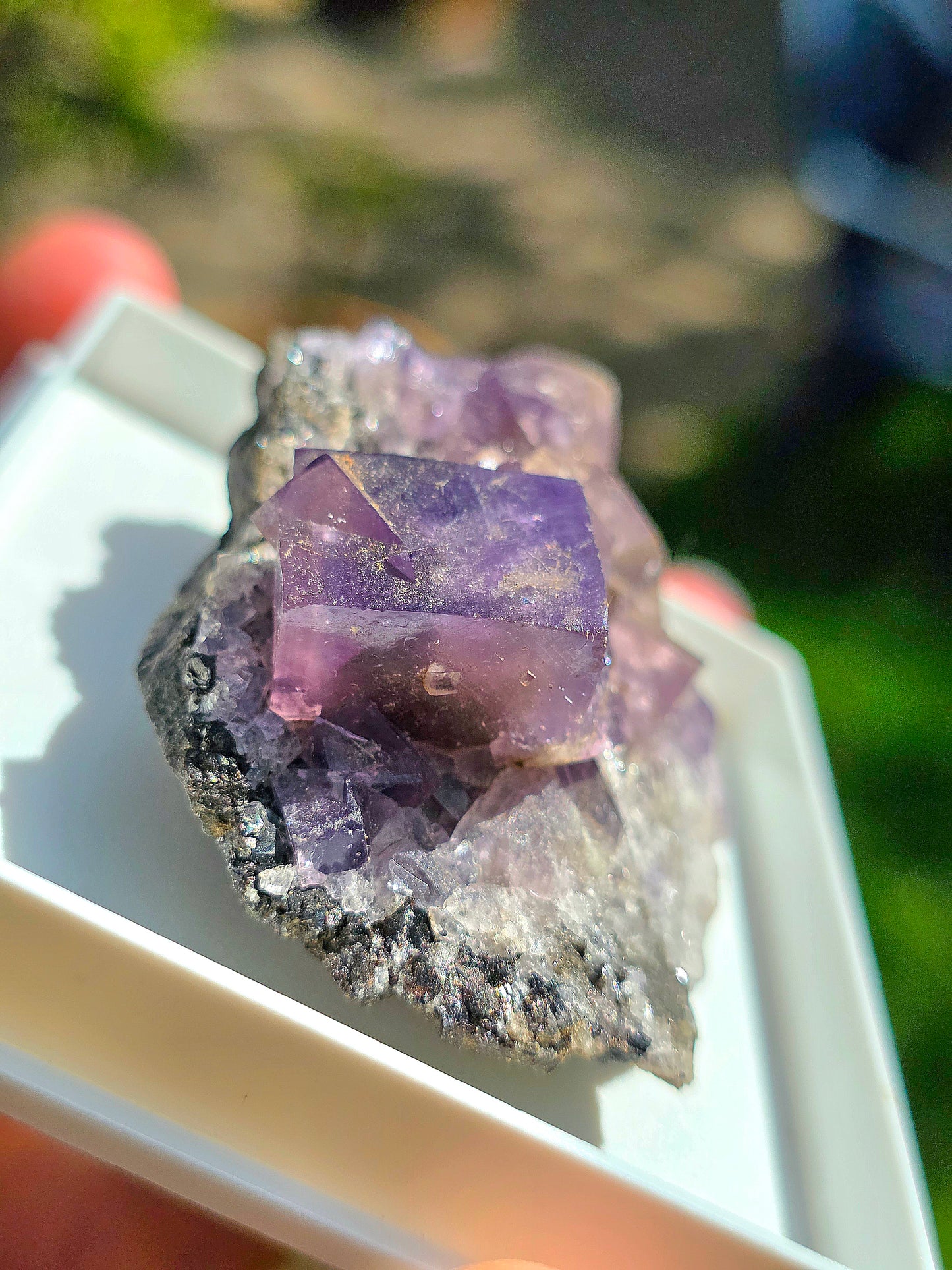 Fluorite violette brute d'Angleterre