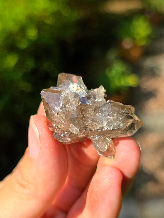 Quartz fumé des Pyrénées n°17