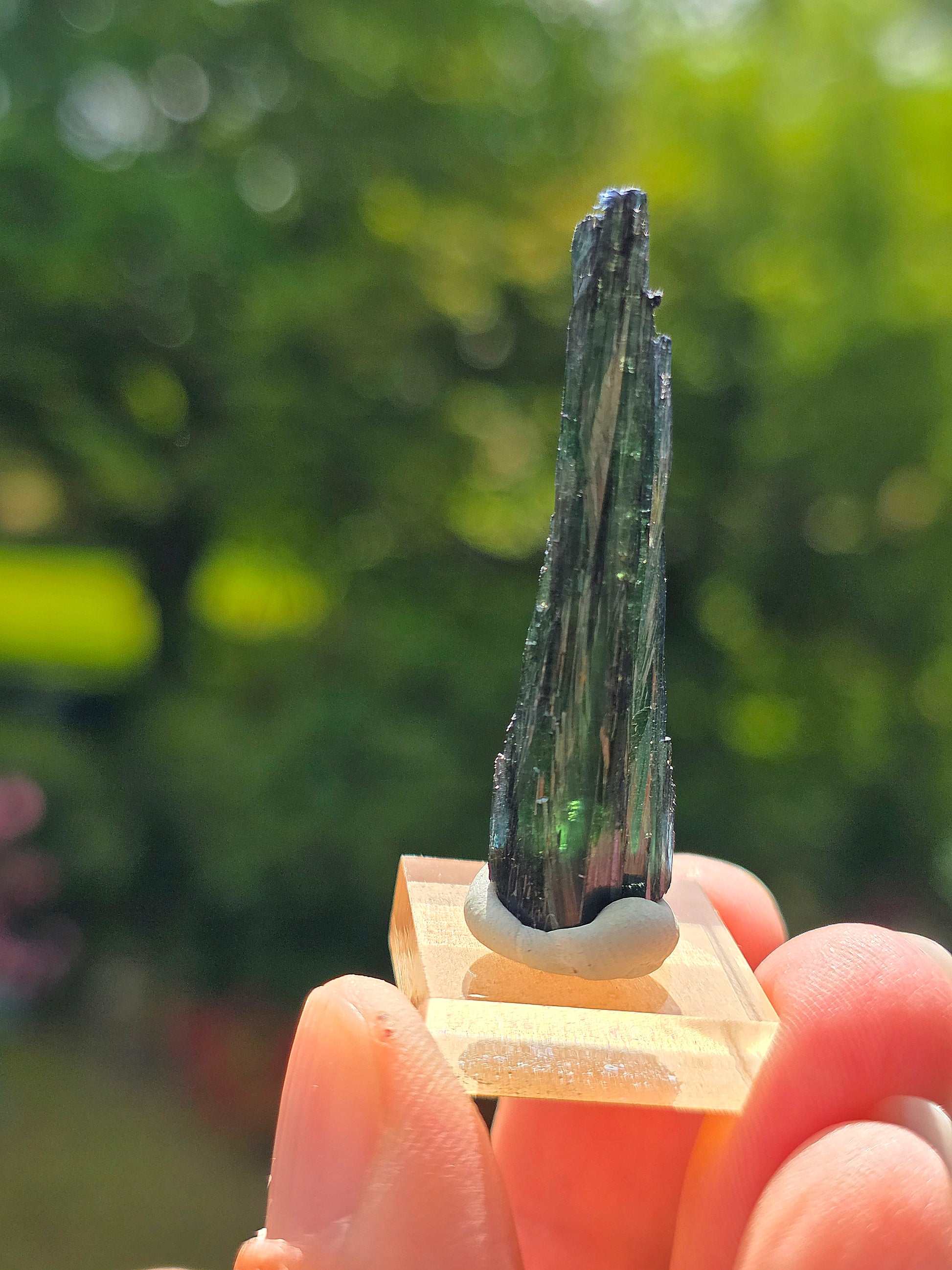 Jolie petite Vivianite du Pérou