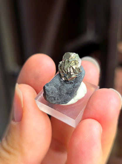 Pyrite sur Schiste n°8