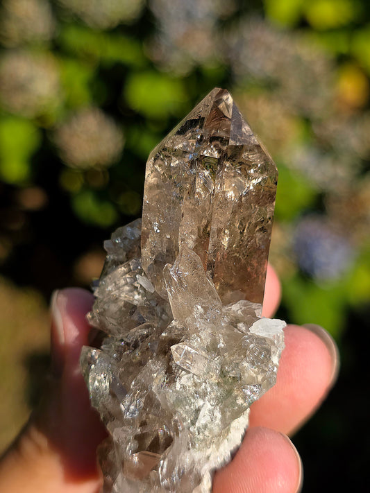 Superbe Quartz fumé des Pyrénées n°31