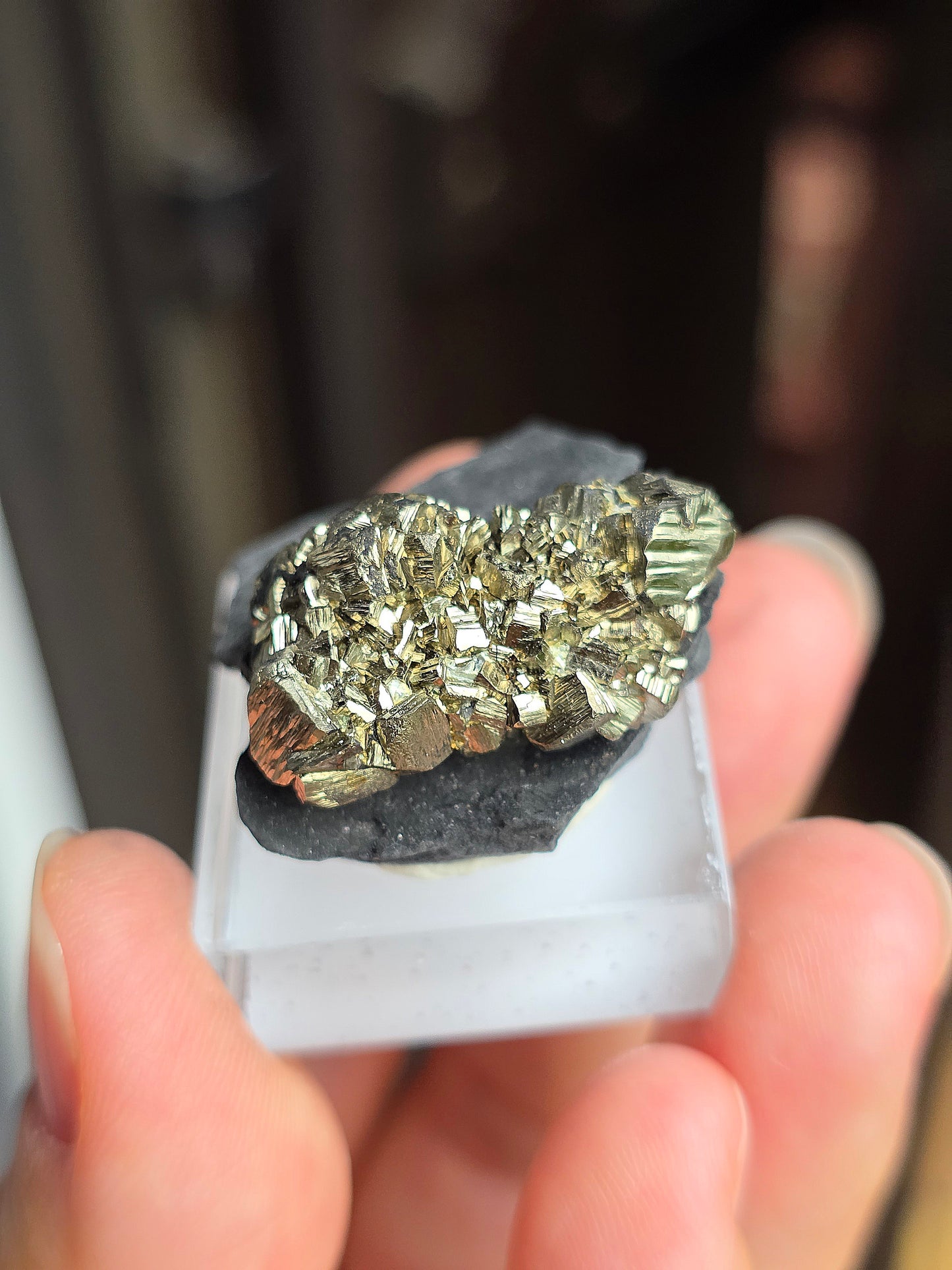 Pyrite sur Schiste n°11