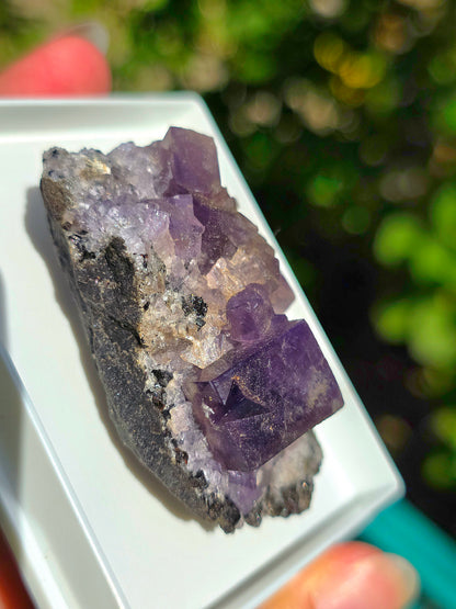 Fluorite violette brute d'Angleterre