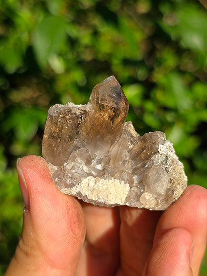 Quartz fumé des Pyrénées n°23
