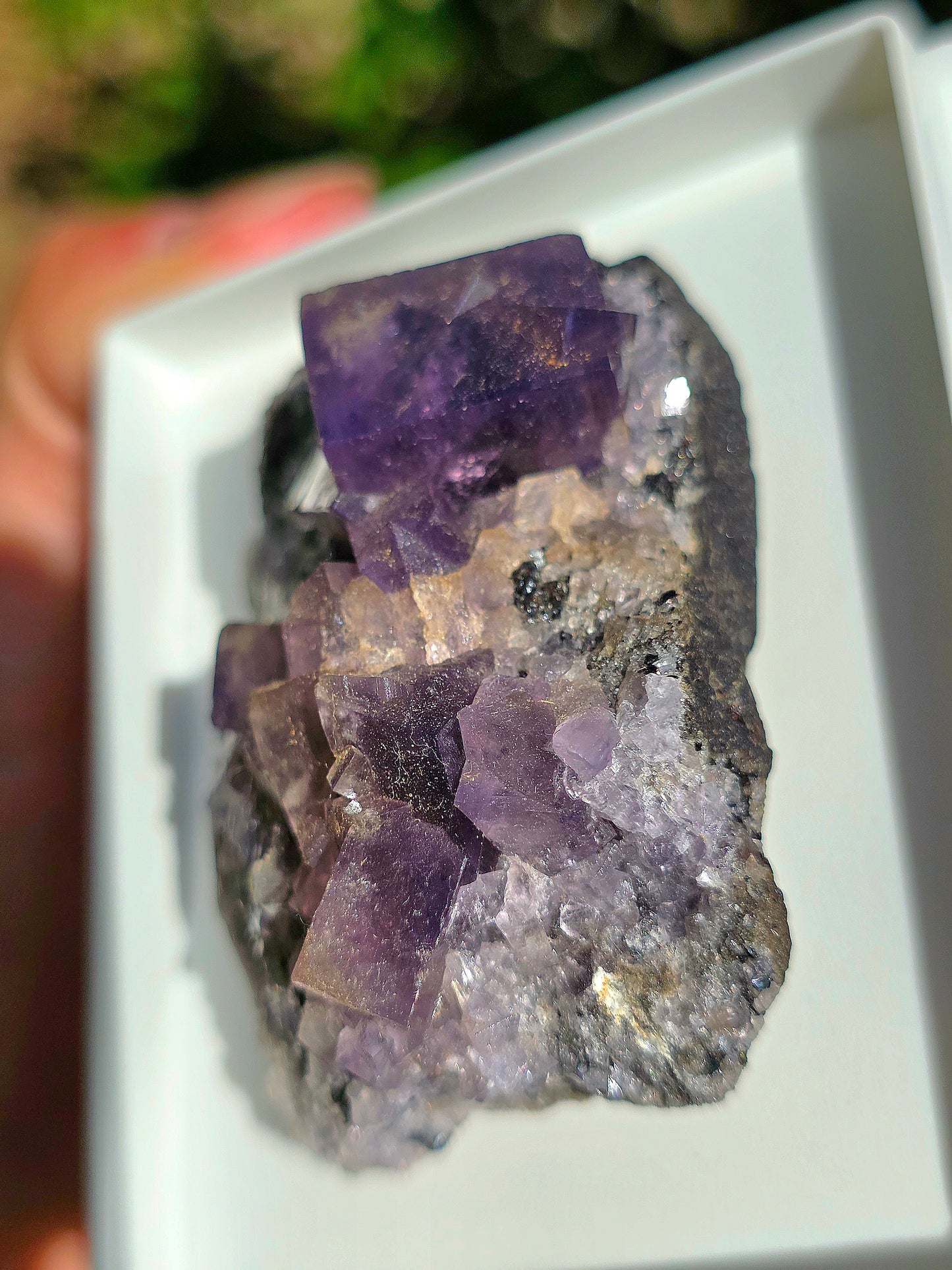 Fluorite violette brute d'Angleterre