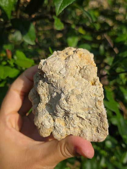 Demi géode Quartz des Landes