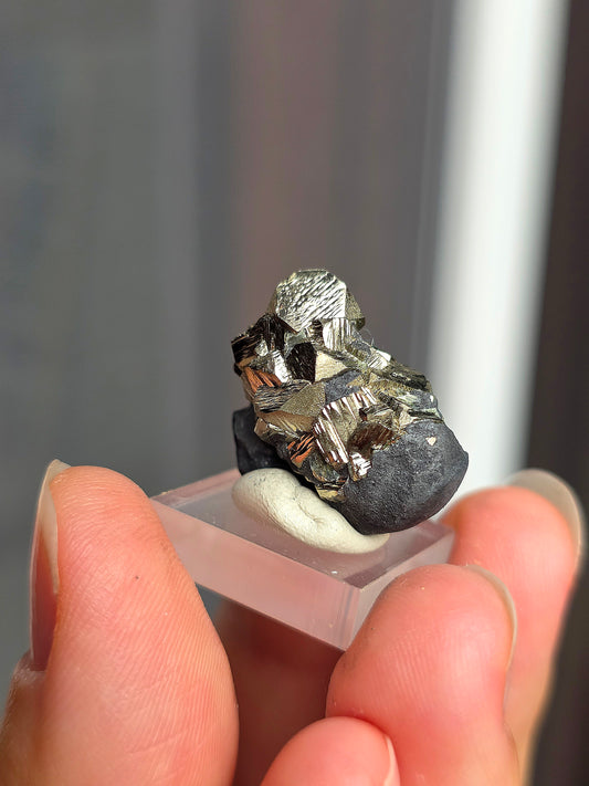 Pyrite sur Schiste n°5