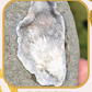 Scolécite sur Heulandite et stilbite n°15