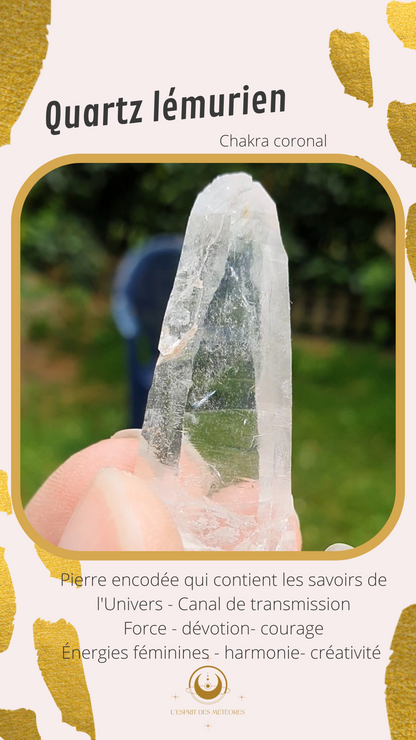 Quartz lémurien rose