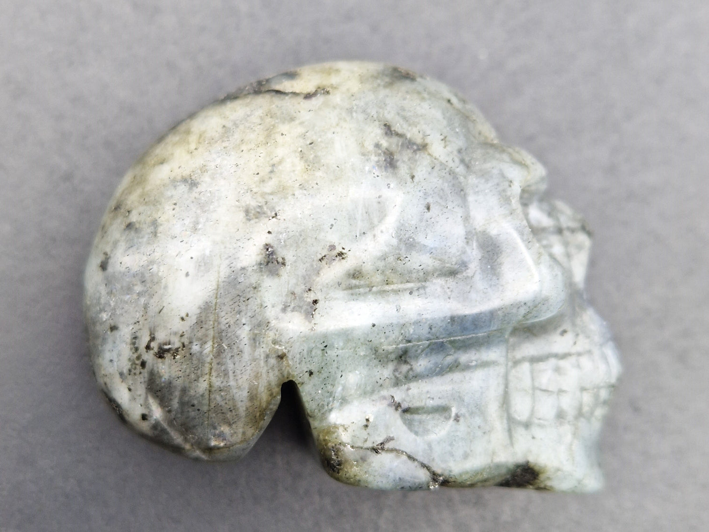 Crâne Labradorite
