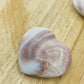 Coeur Oeil de Shiva