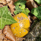 Oeuf Jaspe orbiculaire jaune 1