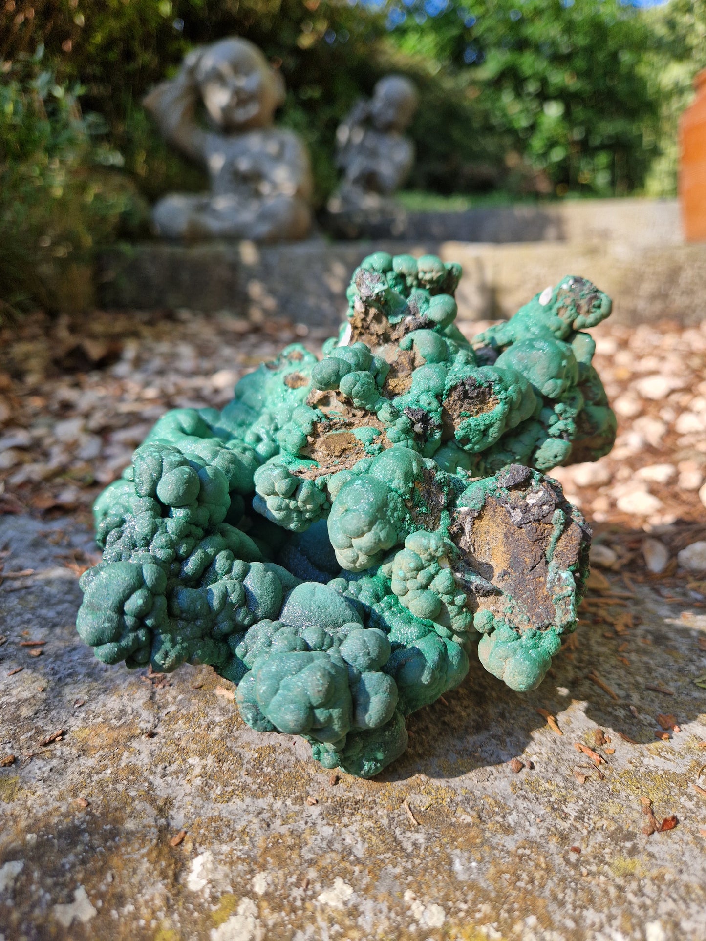 Grosse Malachite botryoidale brute