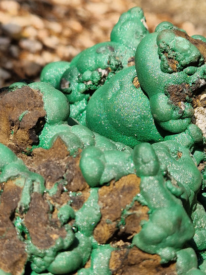 Grosse Malachite botryoidale brute