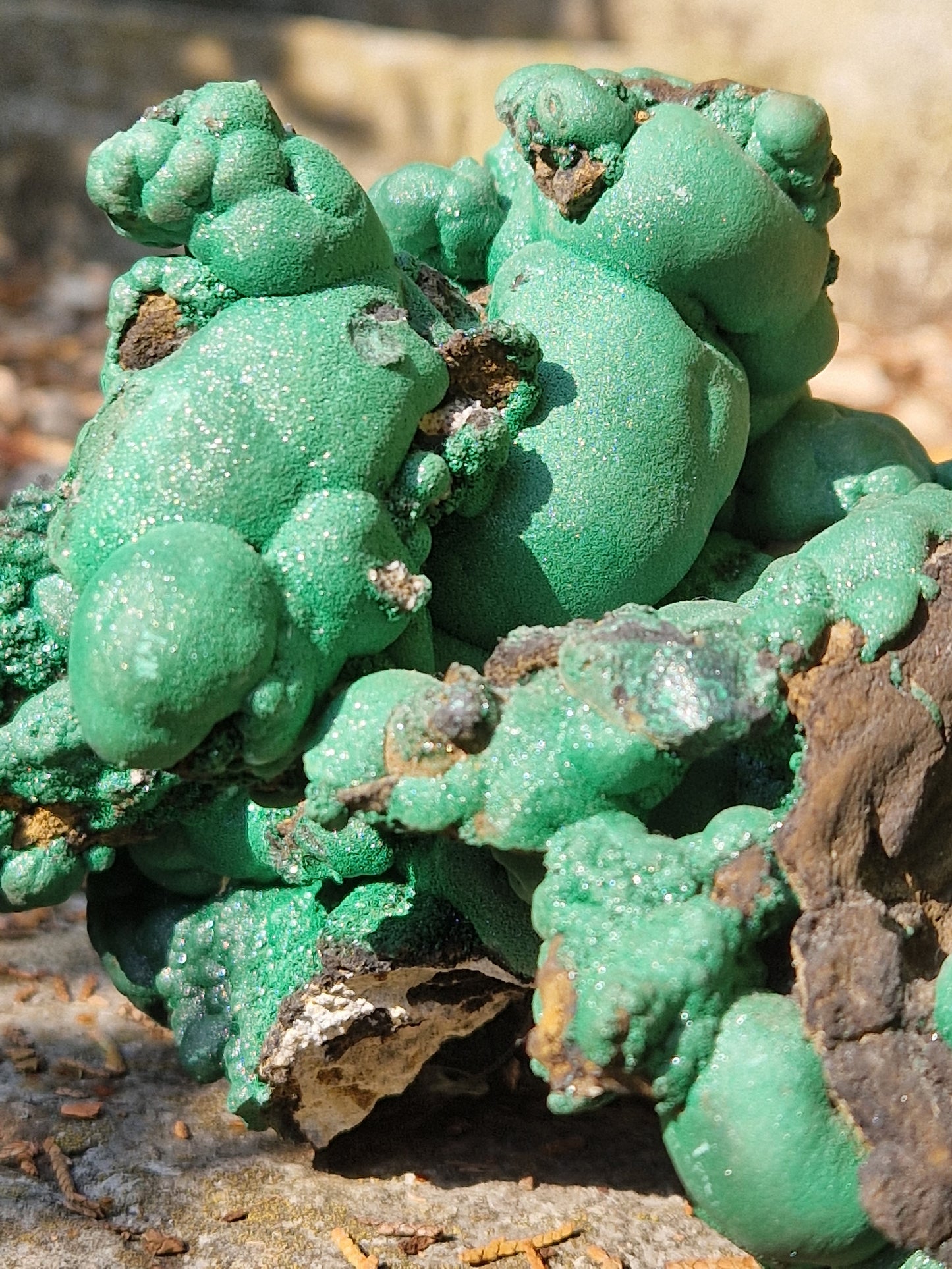 Grosse Malachite botryoidale brute