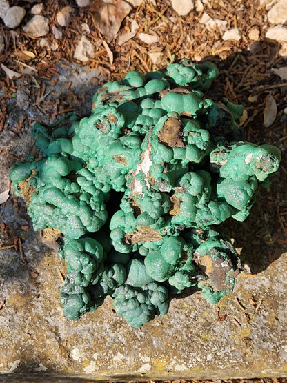 Grosse Malachite botryoidale brute