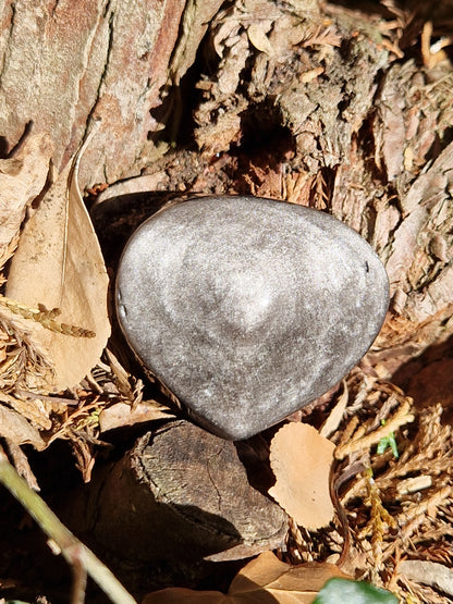 Cœur Obsidienne argentée B