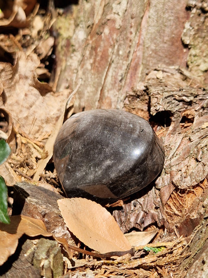 Cœur Obsidienne argentée B