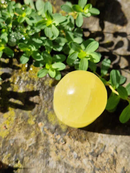 Champignon Calcite jaune A