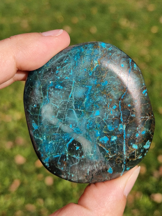 Galet Chrysocolle ( à choisir)